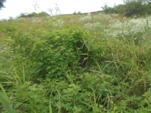 B000271202501300306091.jpg