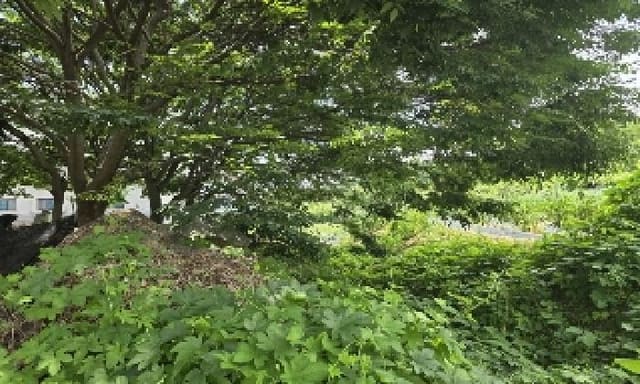 B000271202501300306201.jpg