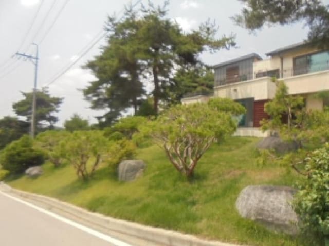 B000271202501300306212.jpg
