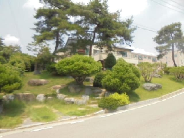 B000271202501300306211.jpg