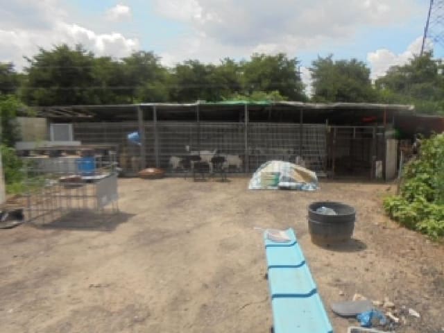 B000271202501300306251.jpg
