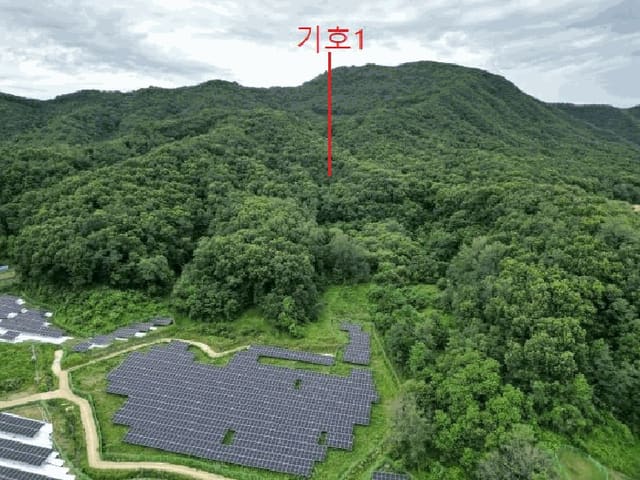 B000271202501300306322.jpg
