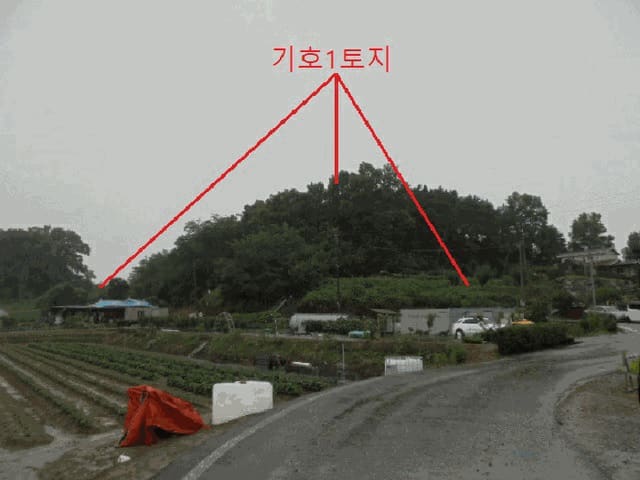 B000271202501300306464.jpg