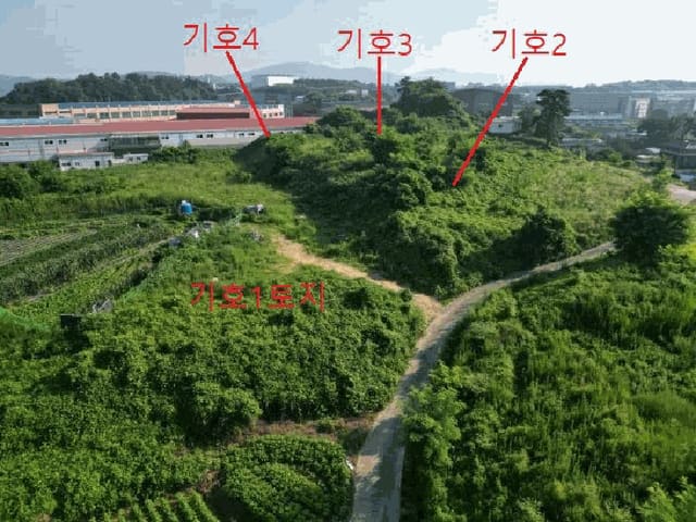 B000271202501300306553.jpg