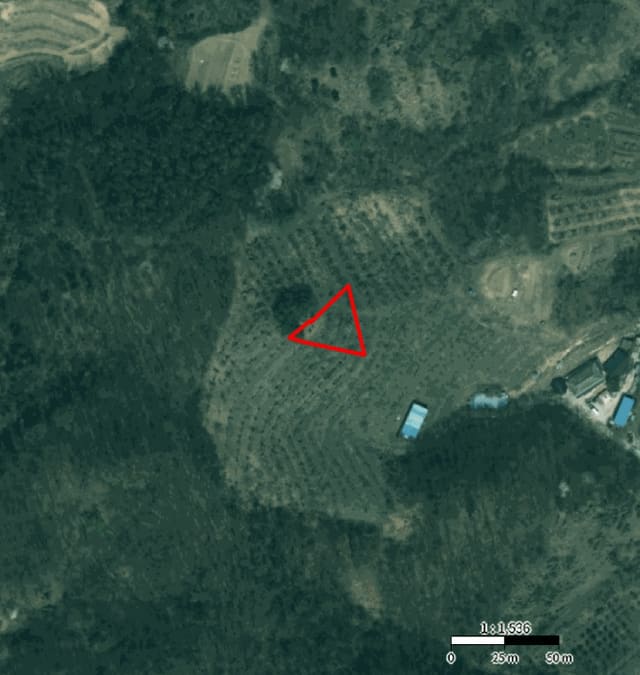 B000271202501300306634.jpg