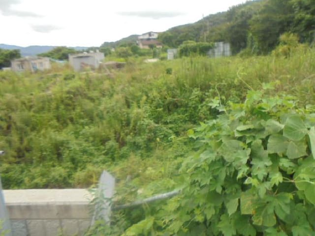 B000271202501300306971.jpg