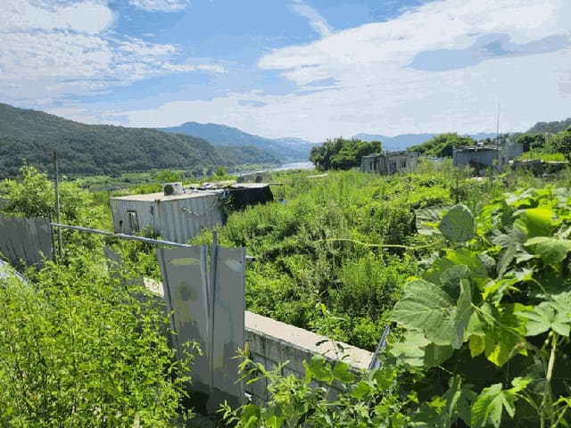 B000271202501300306974.jpg