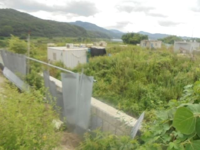 B000271202501300306972.jpg
