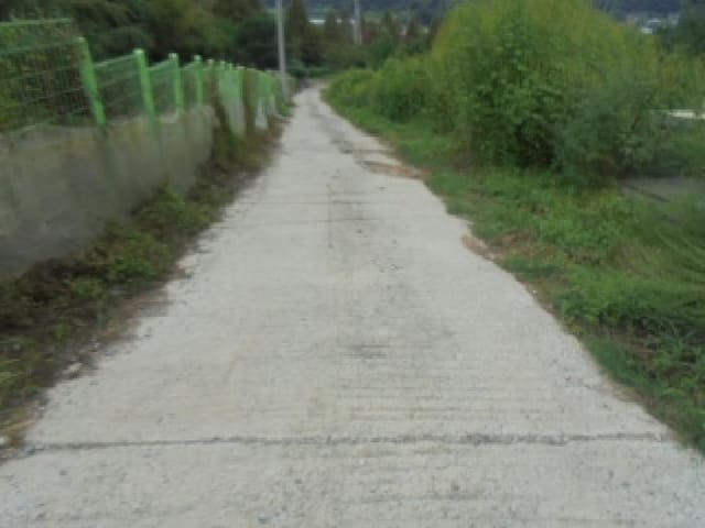 B000271202501300307384.jpg