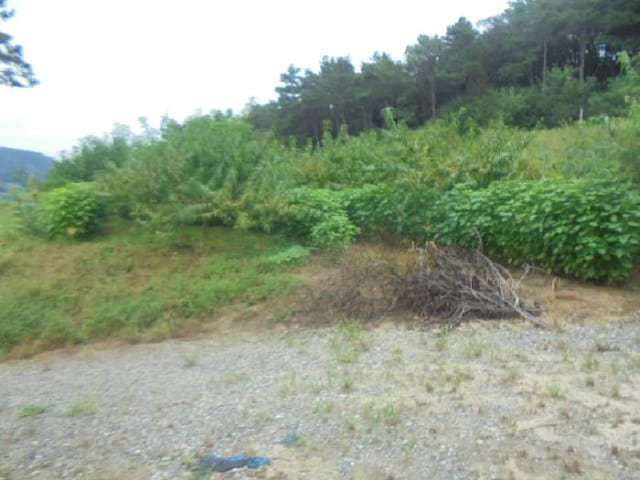 B000271202501300307381.jpg
