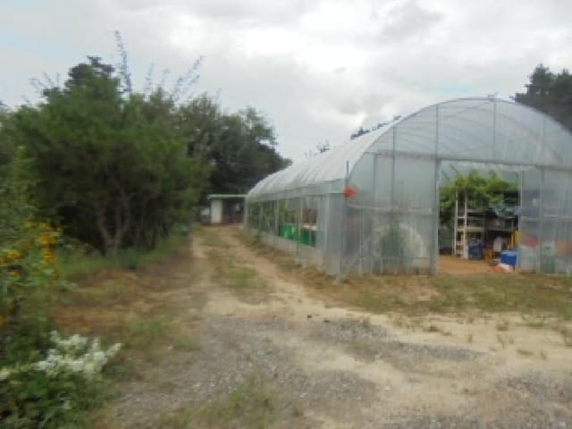 B000271202501300307382.jpg