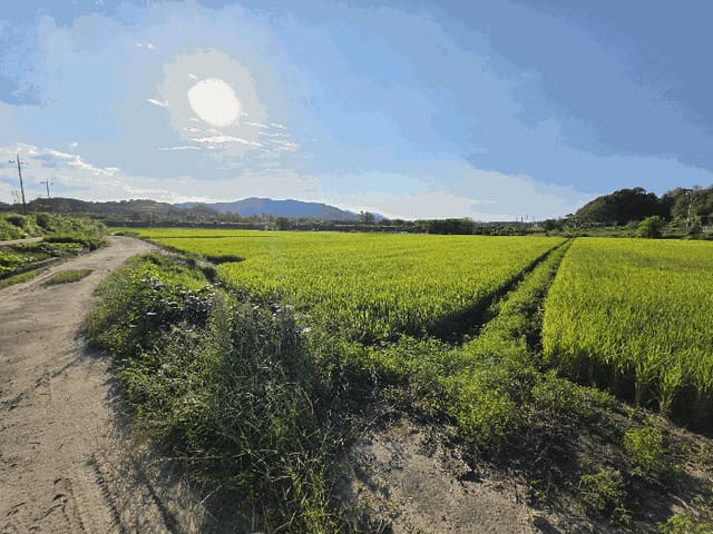 B000271202501300307773.jpg
