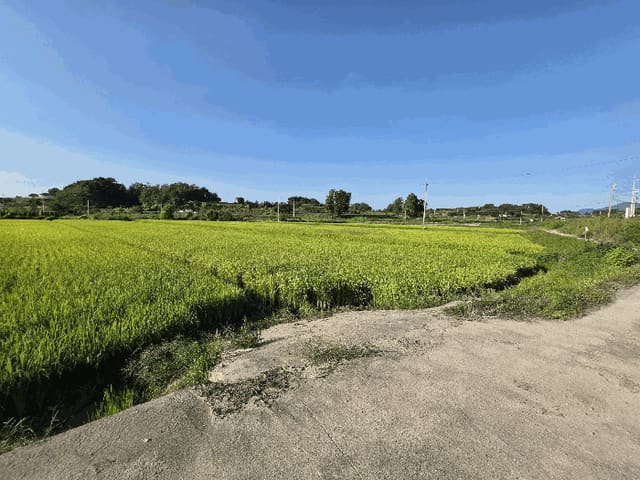 B000271202501300307774.jpg