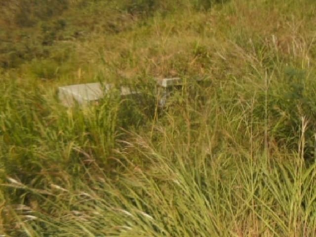 B000271202501300307801.jpg