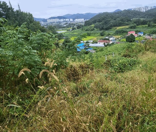 B000271202501300307804.jpg