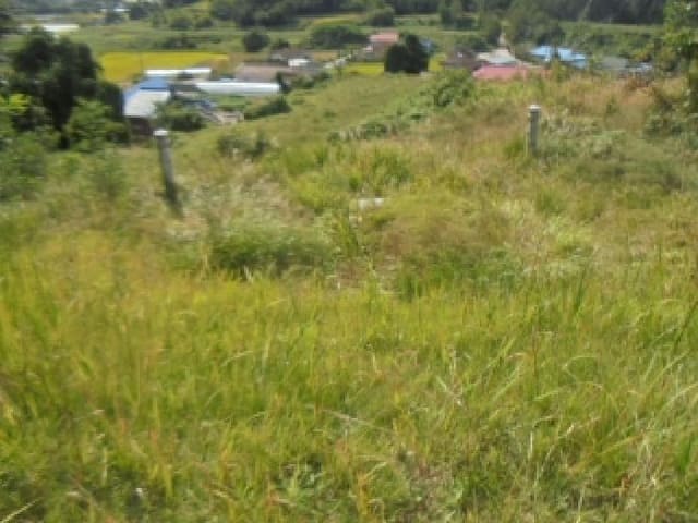 B000271202501300307802.jpg
