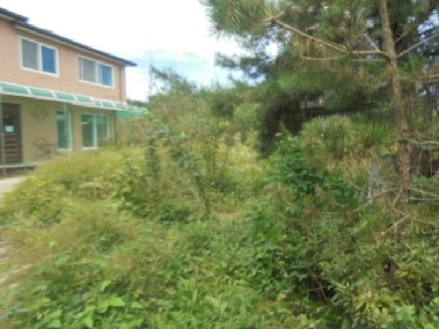 B000271202501300307834.jpg