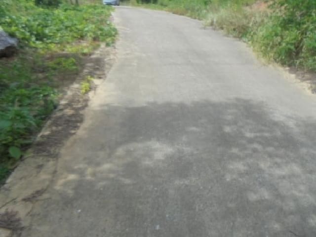 B000271202501300307833.jpg