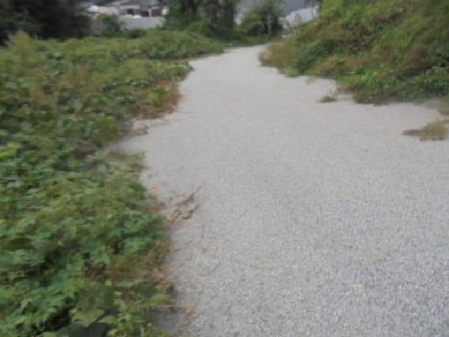 B000271202501300307843.jpg