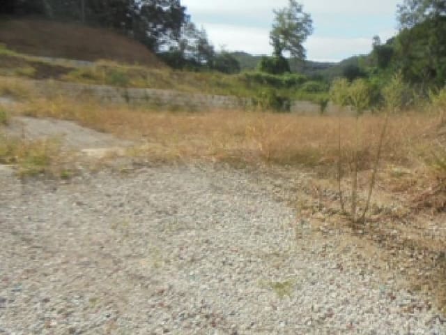 B000271202501300307882.jpg