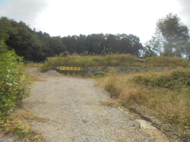 B000271202501300307881.jpg