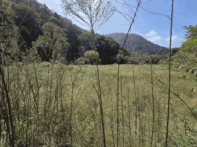 B000271202501300307904.jpg