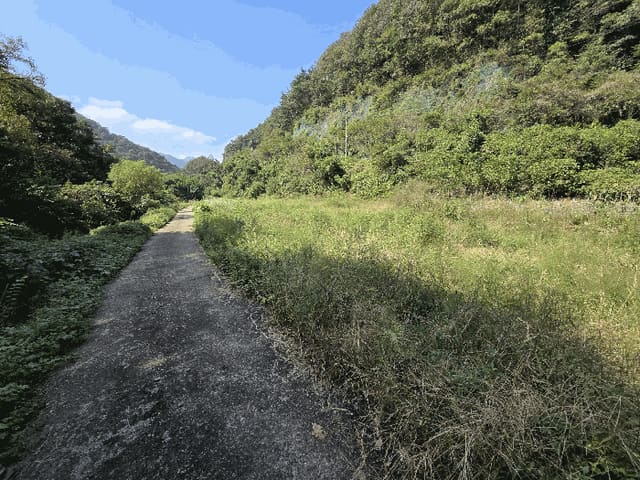 B000271202501300307903.jpg