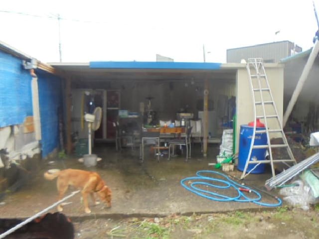 B000271202501300308073.jpg