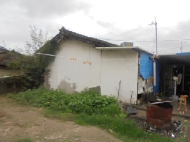 B000271202501300308074.jpg
