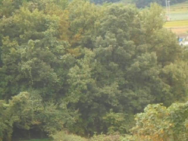B000271202501300308131.jpg