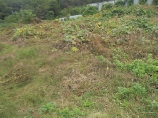 B000271202501300308224.jpg