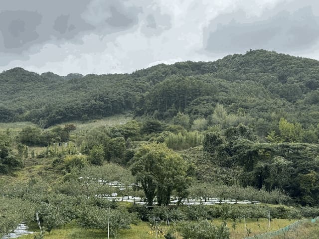 B000271202501300308284.jpg