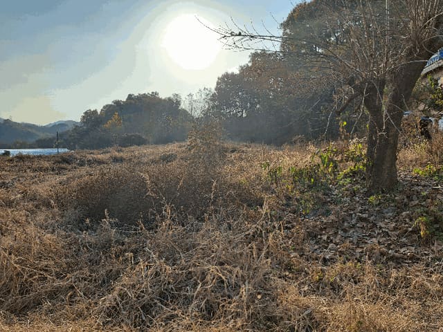B000271202501300308314.jpg