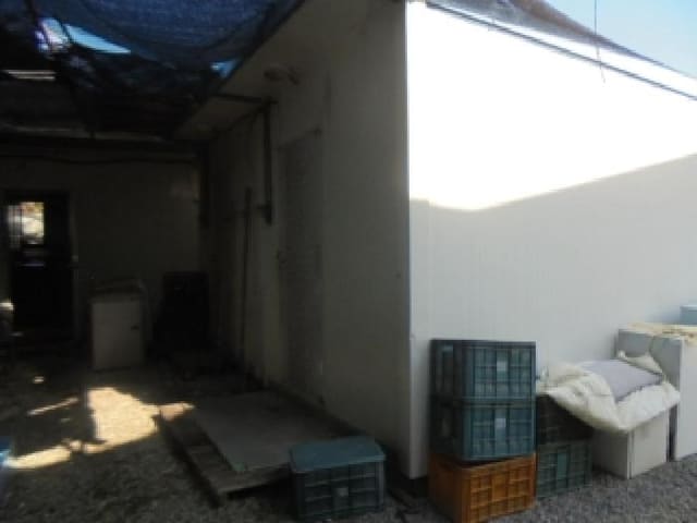 B000271202501300308551.jpg