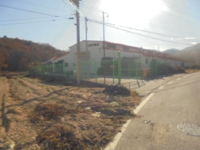 B000271202501300308642.jpg