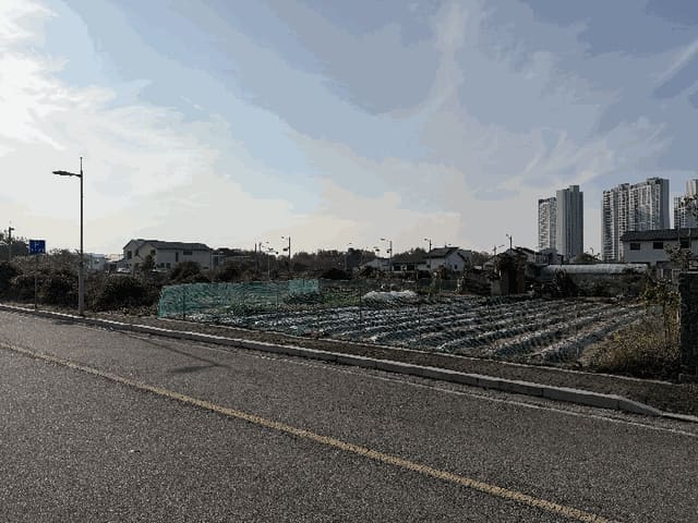 B000271202501300308682.jpg