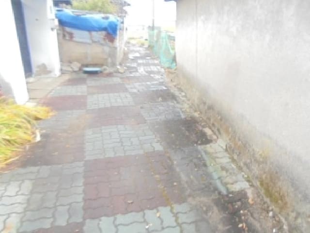 B000271202501300308941.jpg