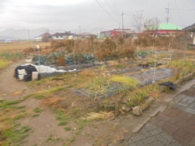 B000271202501300308942.jpg