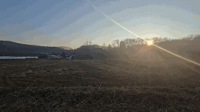 B000271202501300309794.jpg