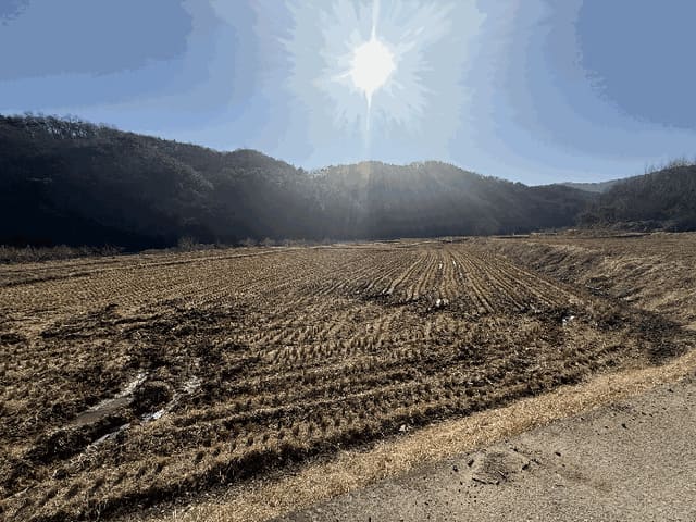 B000271202501300310033.jpg