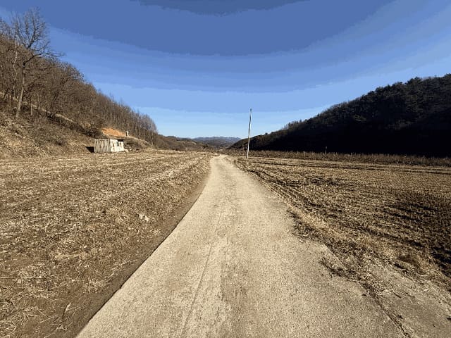 B000271202501300310032.jpg