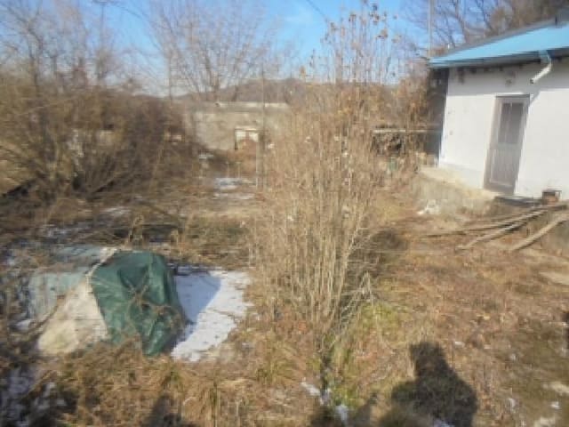 B000271202501300310082.jpg