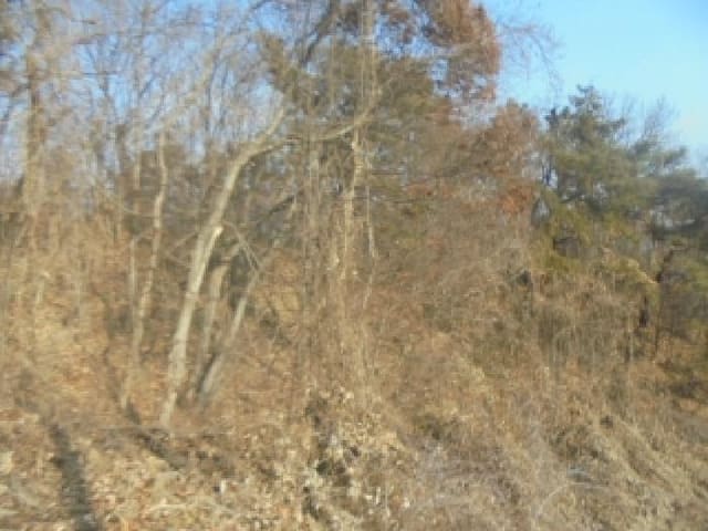 B000271202501300310301.jpg