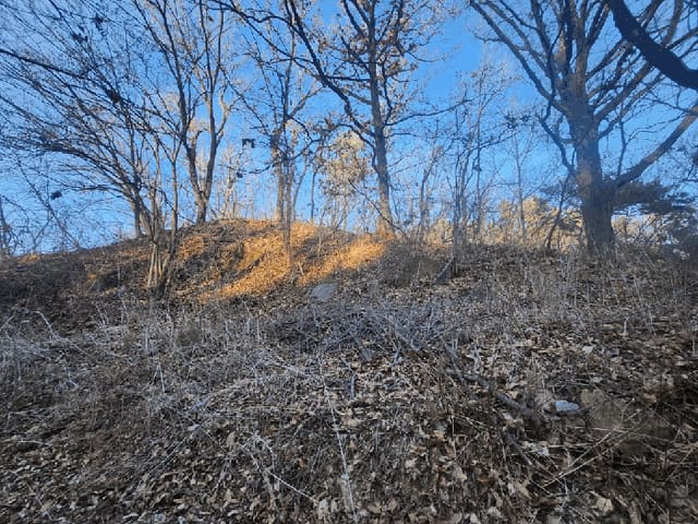 B000271202501300310303.jpg
