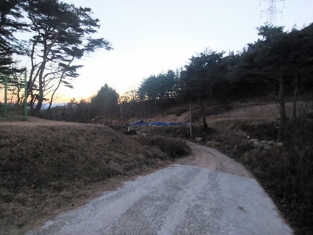 B000272202201300012293.jpg