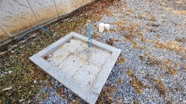 B000272202301300071251.jpg