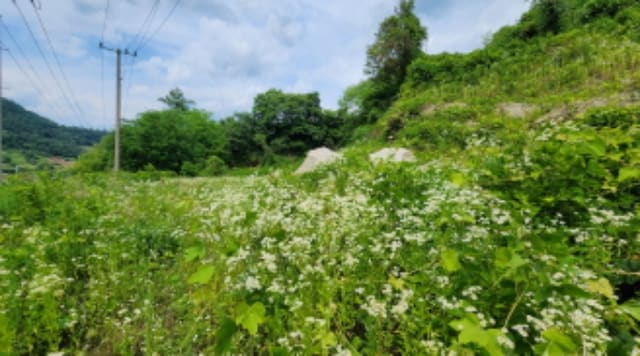 B000272202401300007251.jpg