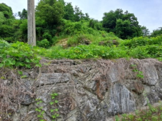 B000272202401300007253.jpg