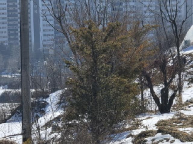 B0002722024013000080039.jpg
