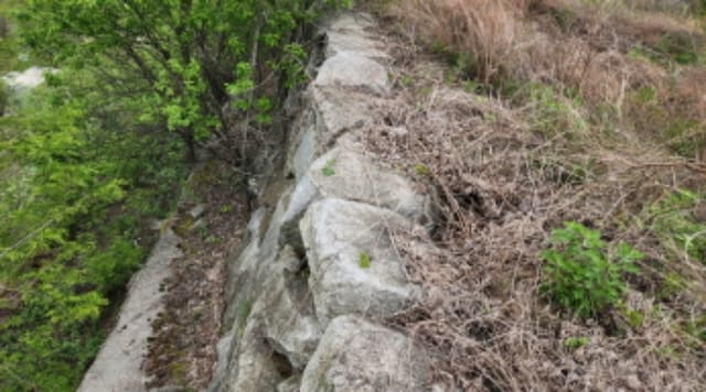 B000272202401300058291.jpg